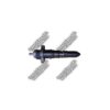 Injector Cummins KT19